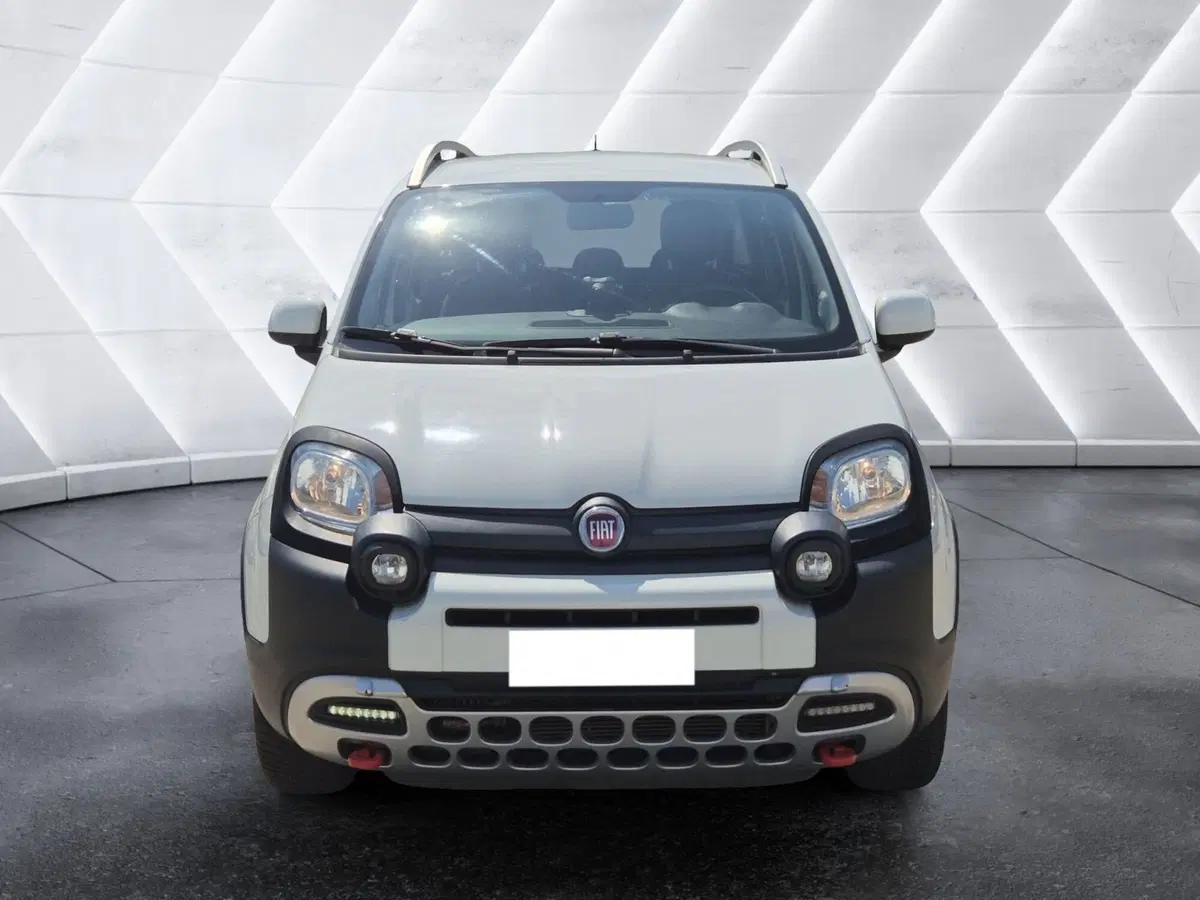 Fiat Panda usata  (2)