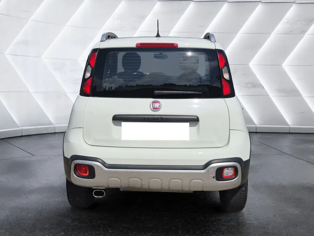 Fiat Panda usata  (3)