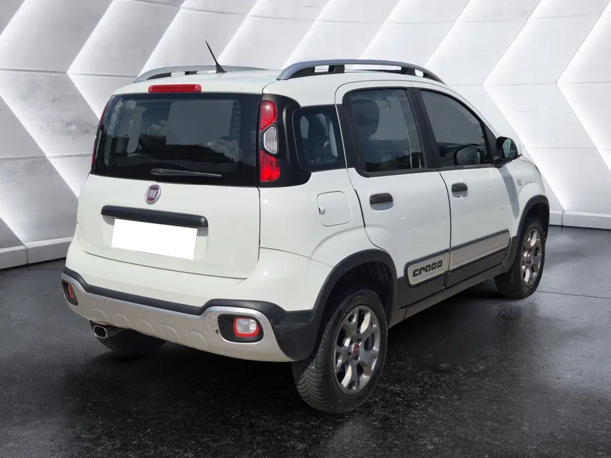 Fiat Panda usata  (4)