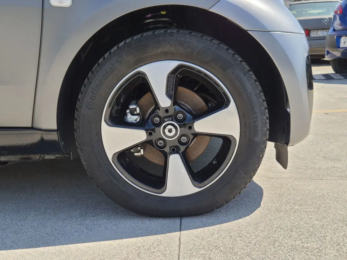 smart Fortwo usata  (11)
