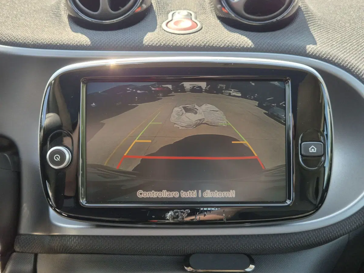 smart Fortwo usata  (13)