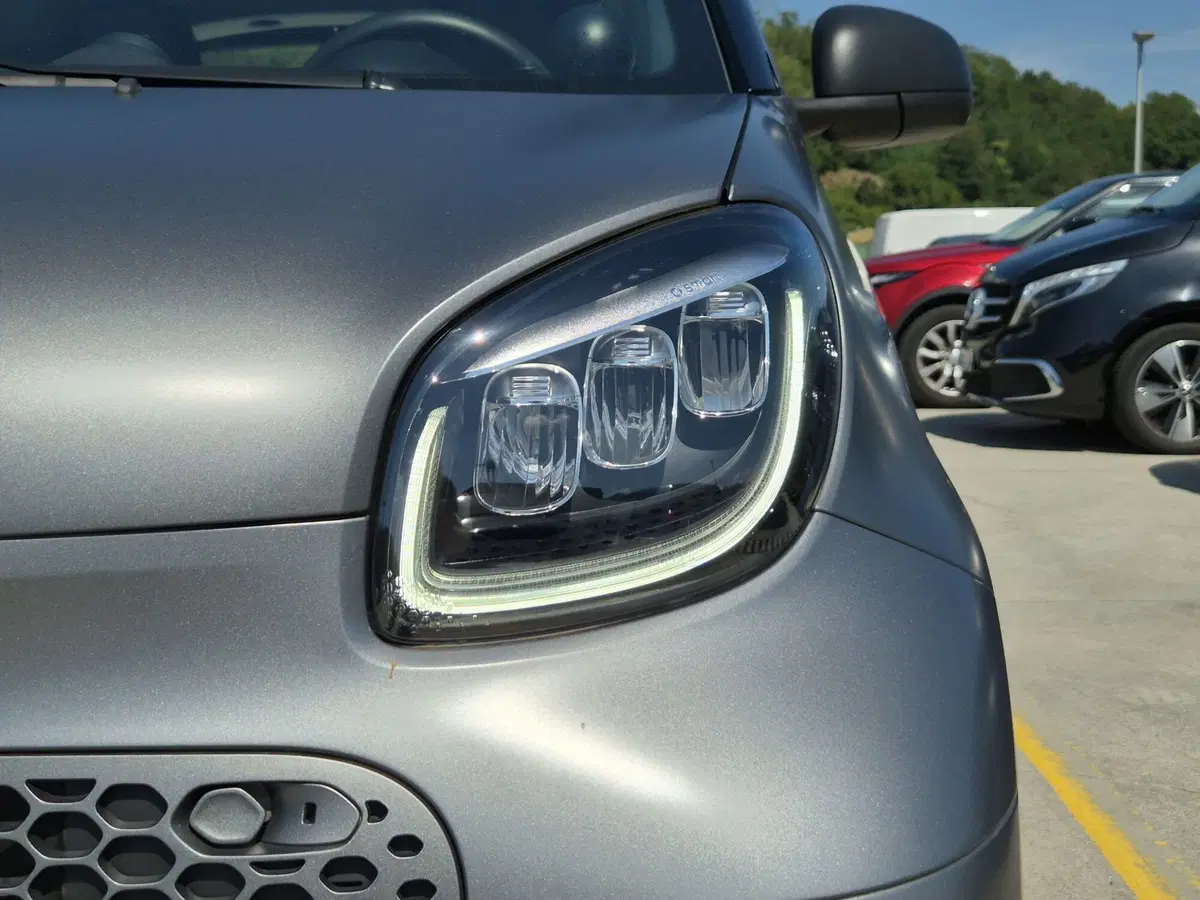 smart Fortwo usata  (15)