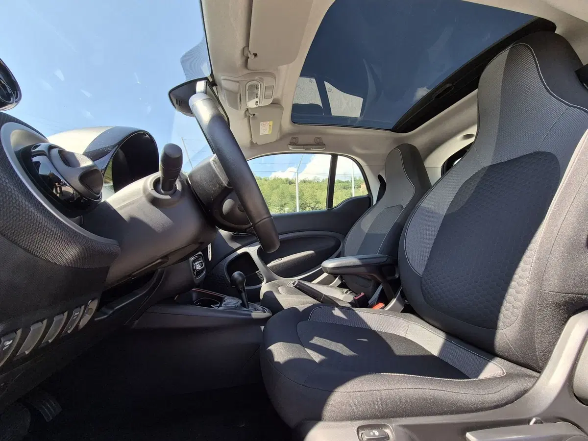 smart Fortwo usata  (17)