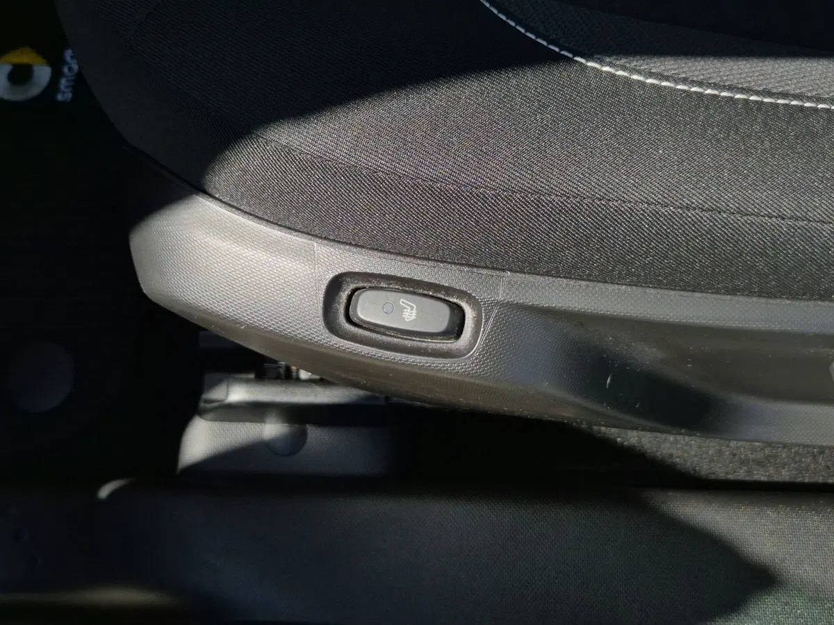 smart Fortwo usata  (18)