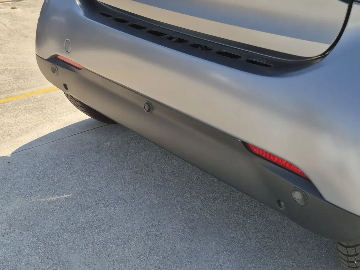 smart Fortwo usata  (19)