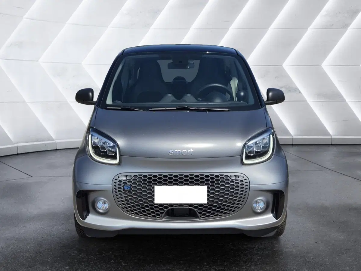 smart Fortwo usata  (2)