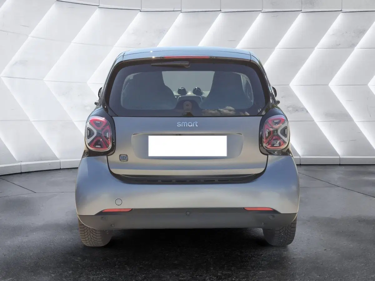 smart Fortwo usata  (3)