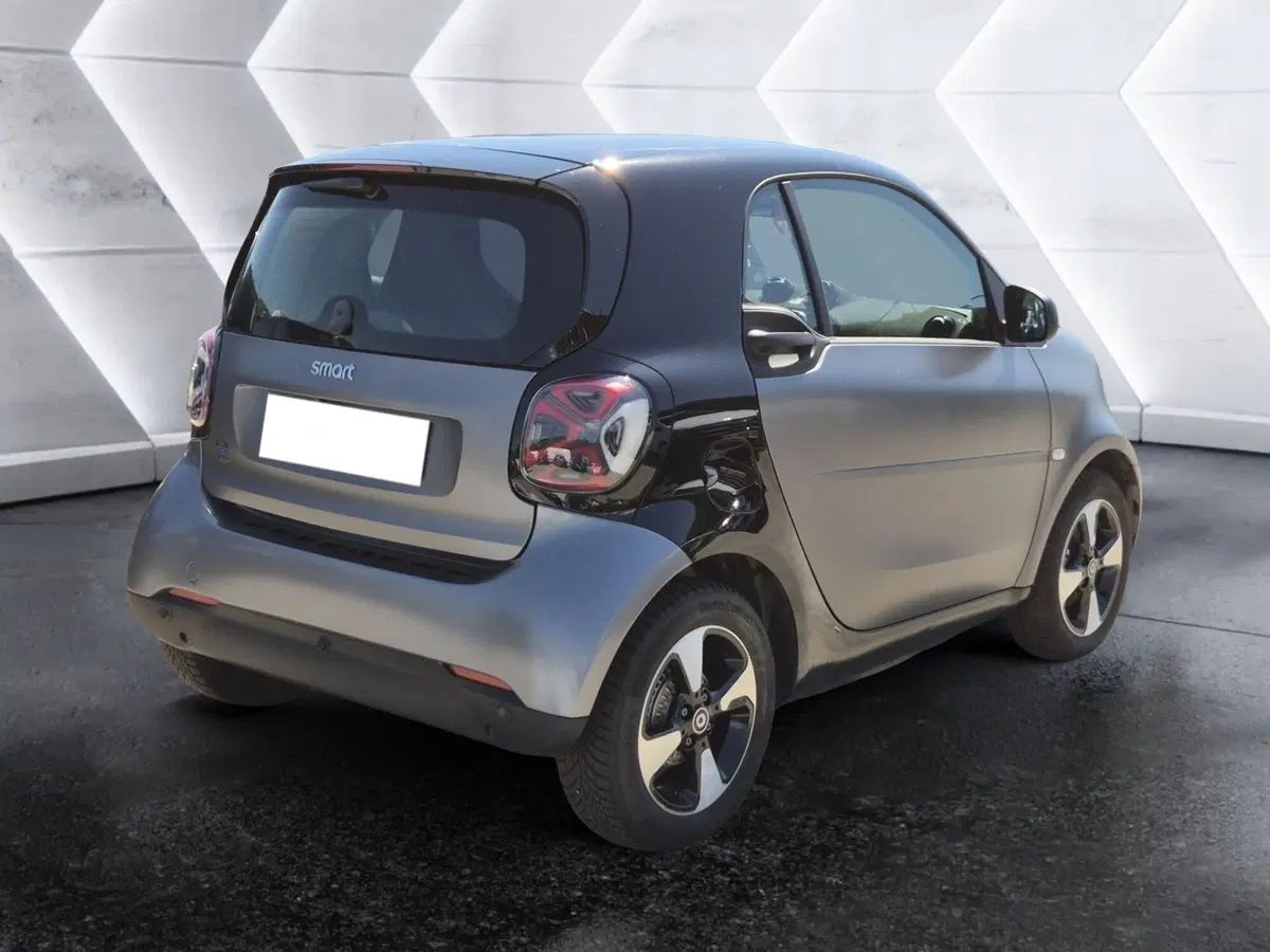 smart Fortwo usata  (4)