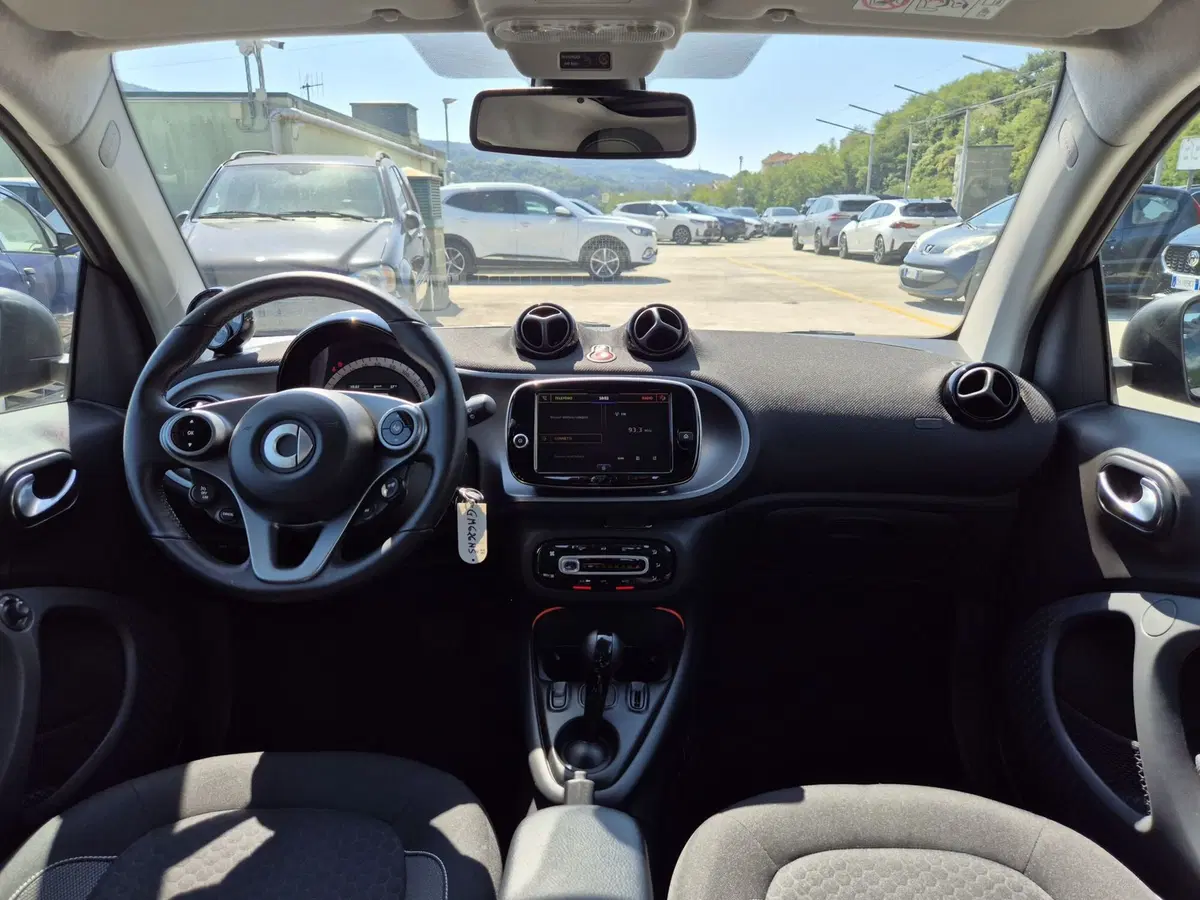 smart Fortwo usata  (7)