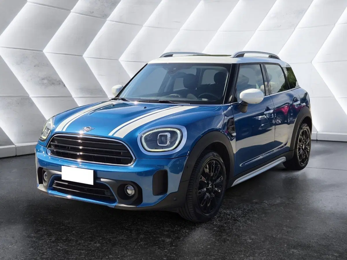 MINI Mini Countryman usata 