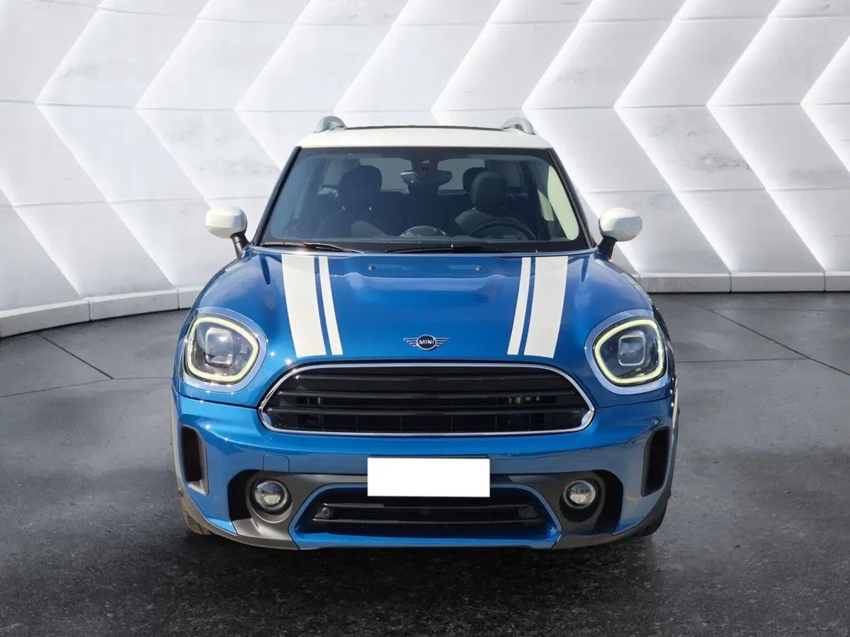 MINI Mini Countryman usata  (2)