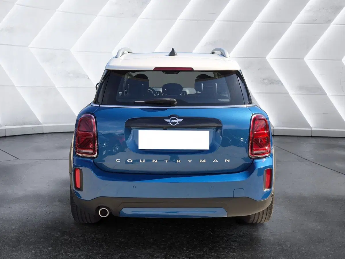 MINI Mini Countryman usata  (3)
