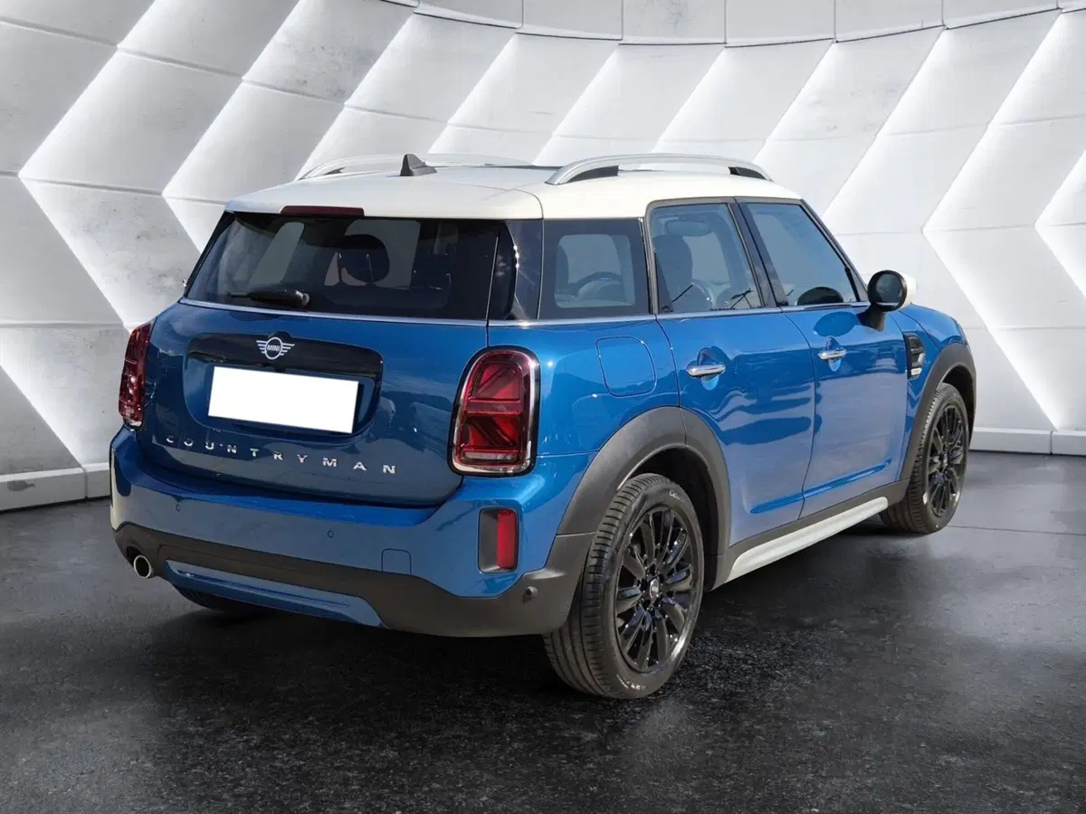 MINI Mini Countryman usata  (4)