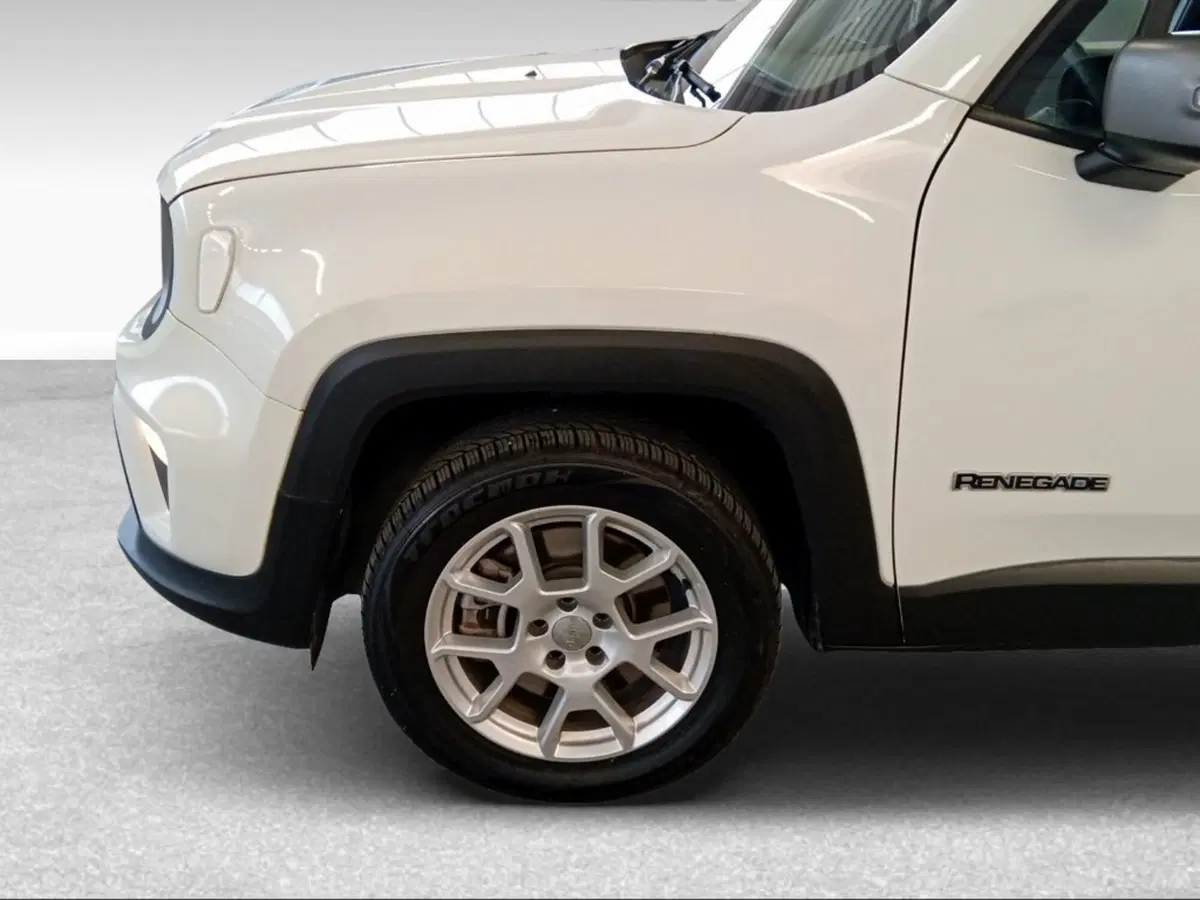 Jeep Renegade usata a Siena (4)