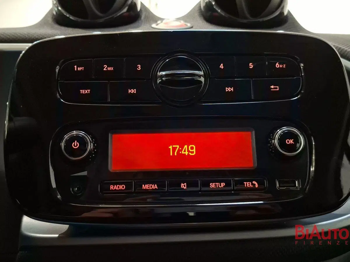 smart Fortwo usata a Firenze (14)