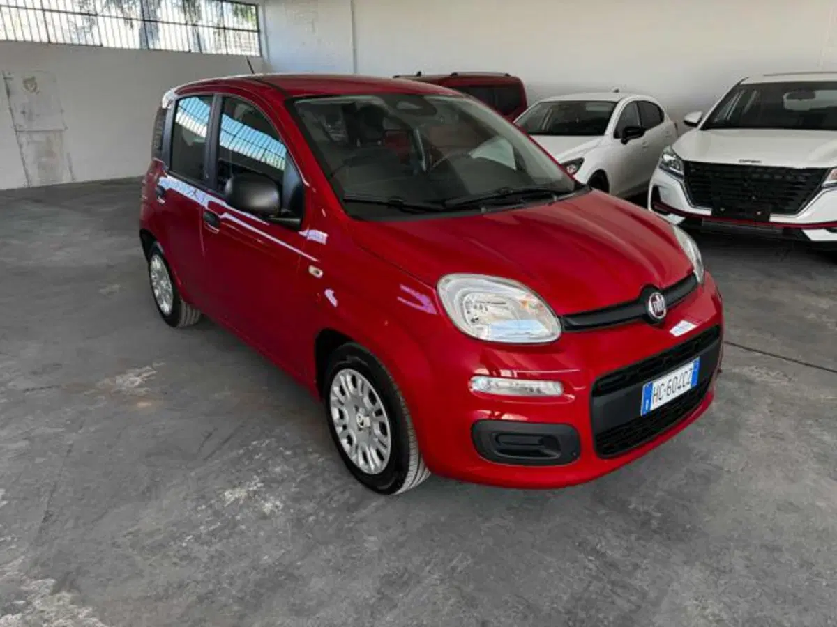 Fiat Panda usata a Bologna (2)