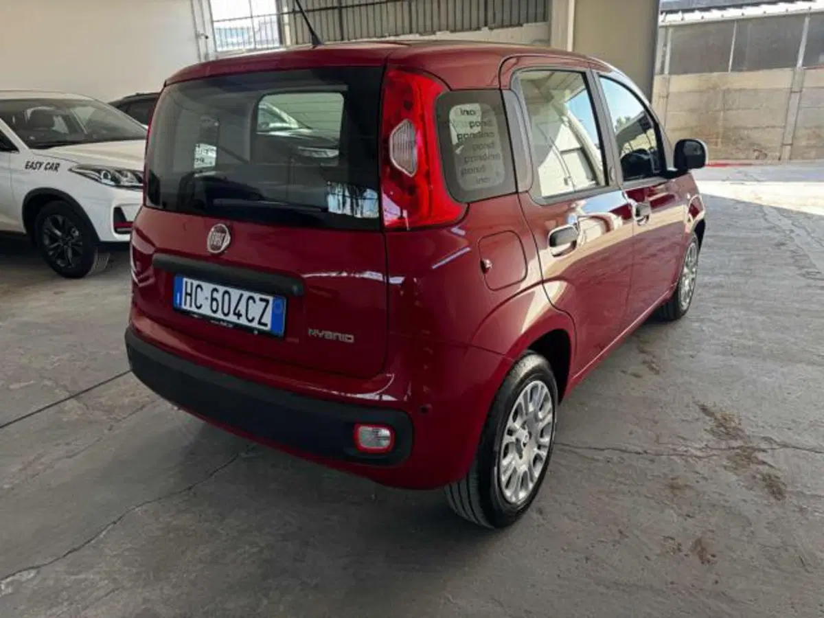 Fiat Panda usata a Bologna (5)