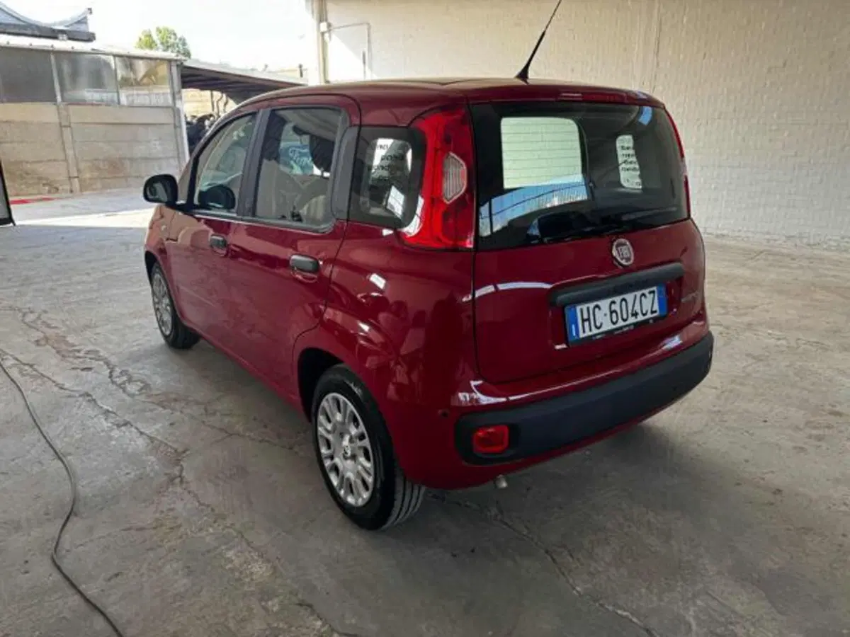 Fiat Panda usata a Bologna (7)