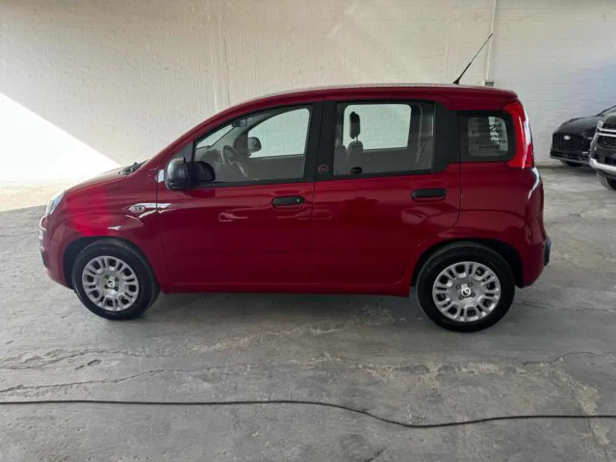 Fiat Panda usata a Bologna (8)