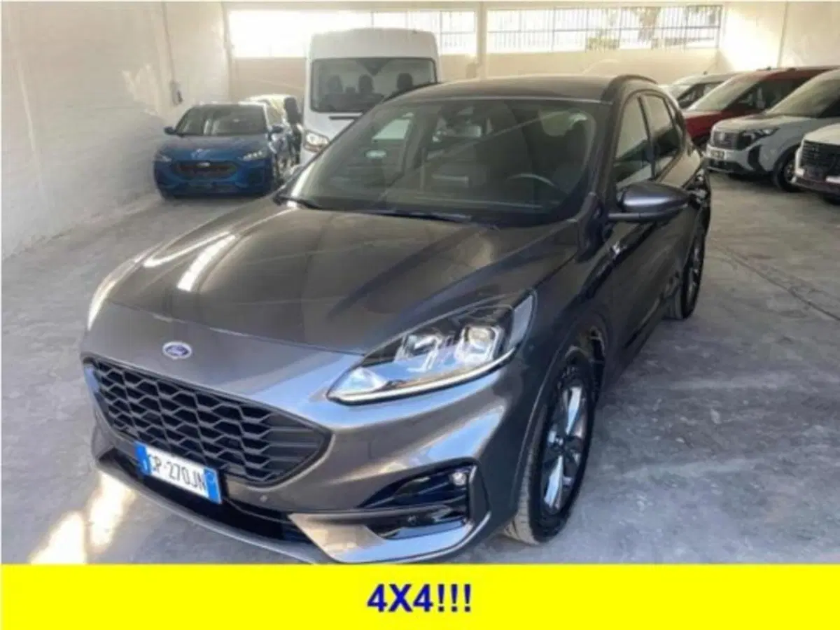 Ford Kuga usata a Bologna