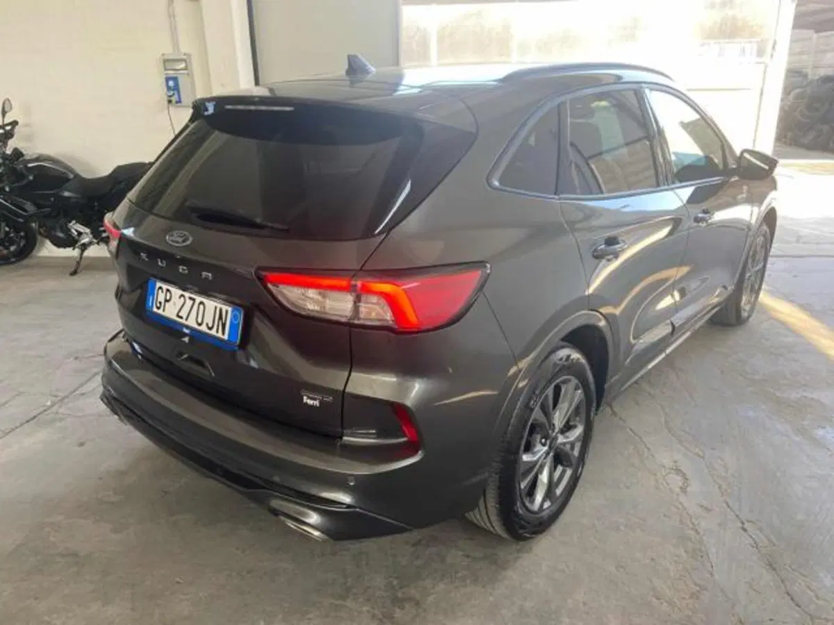 Ford Kuga usata a Bologna (4)