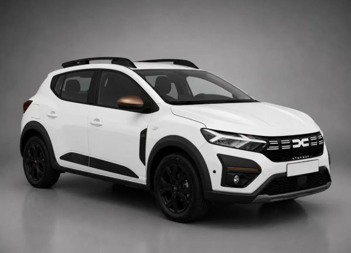 Dacia Sandero Stepway usata a Rimini (2)