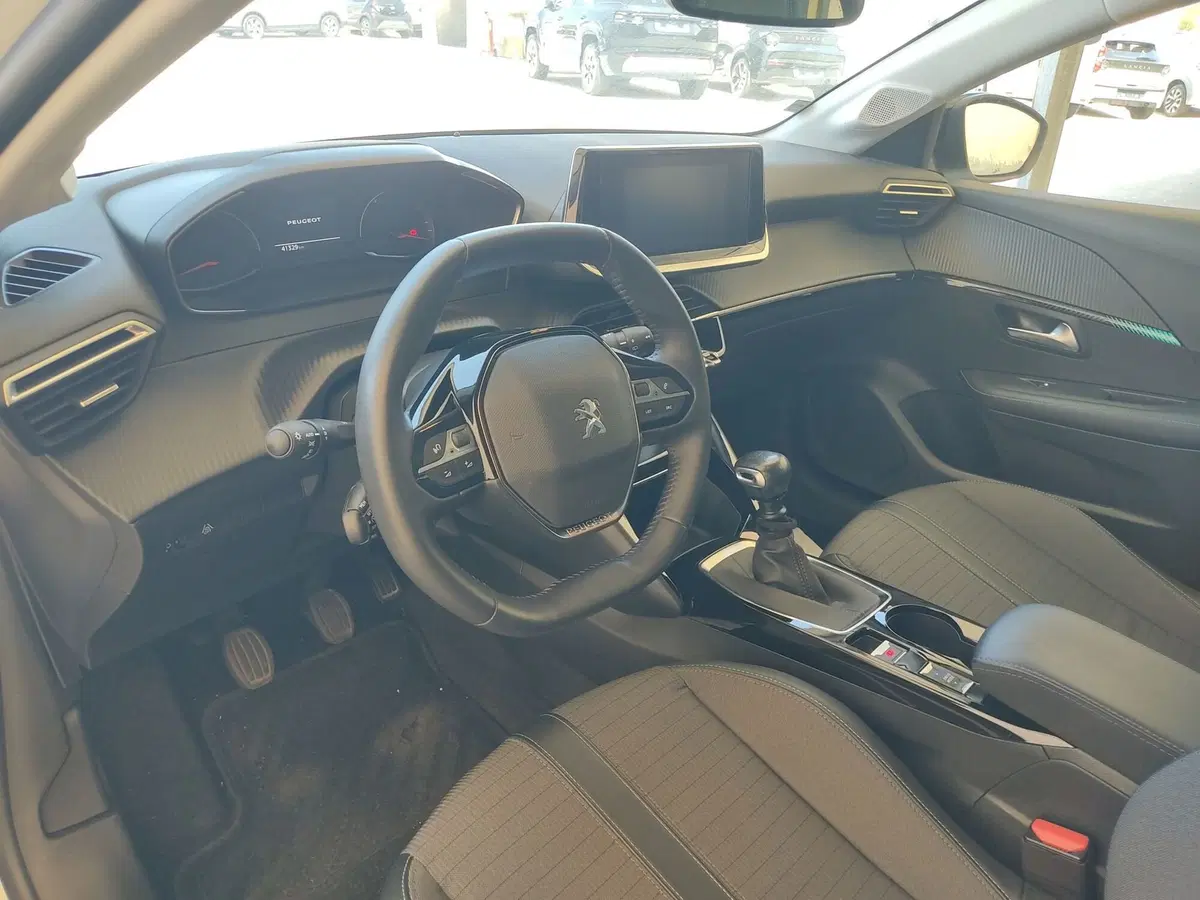Peugeot 208 usata a Frosinone (9)