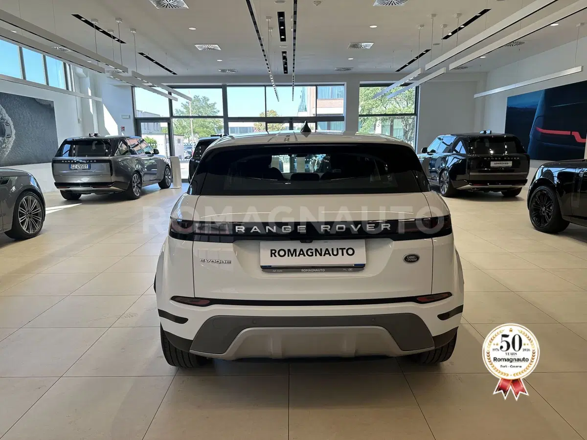 Land Rover Range Rover Evoque usata a Forlì-Cesena (6)