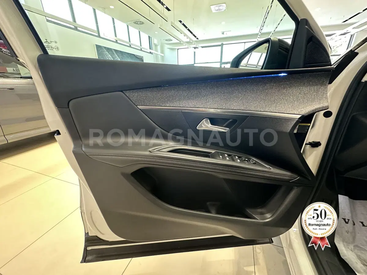 Peugeot 3008 usata a Forlì-Cesena (15)