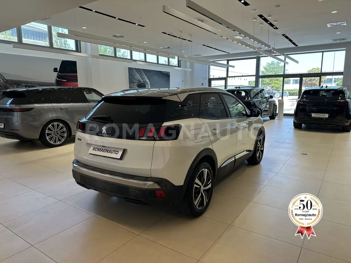 Peugeot 3008 usata a Forlì-Cesena (5)