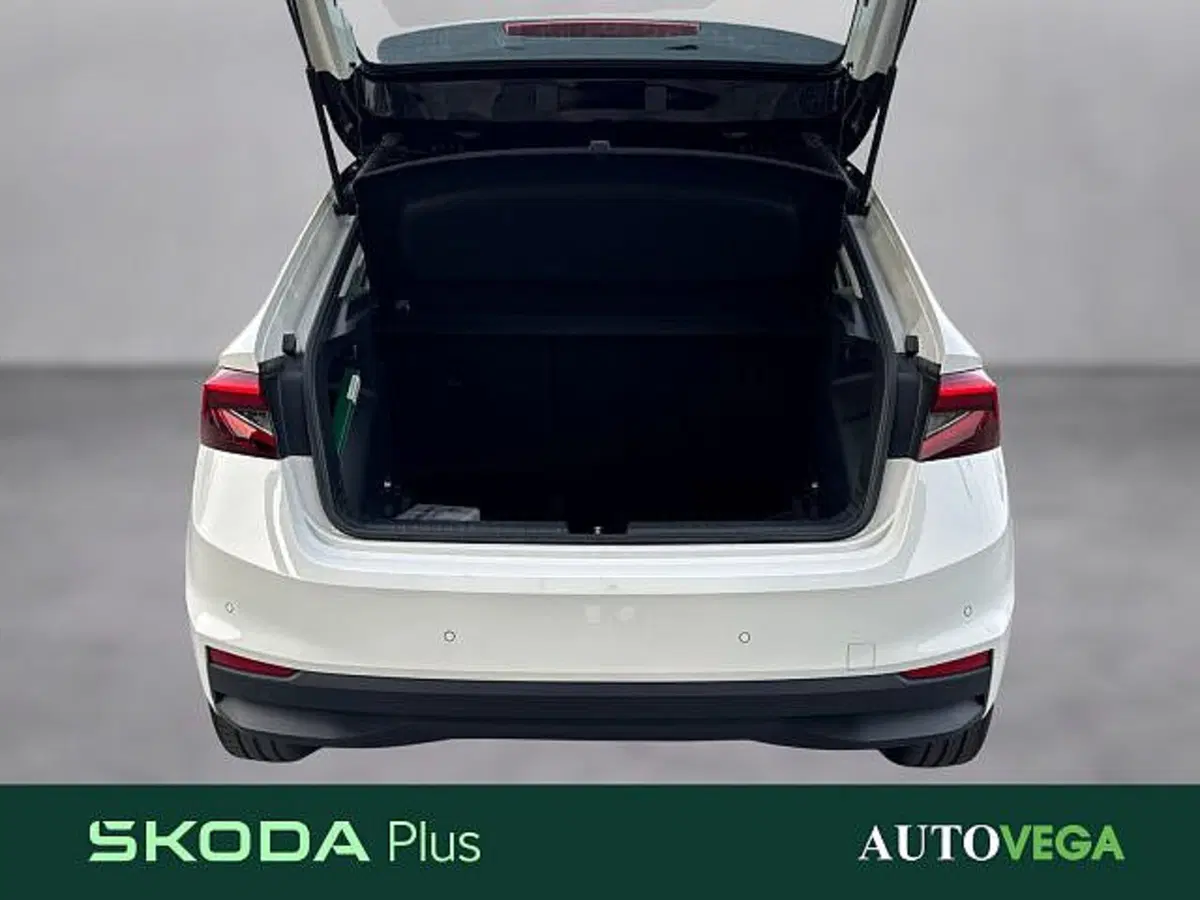 Skoda Fabia usata a Vicenza (17)