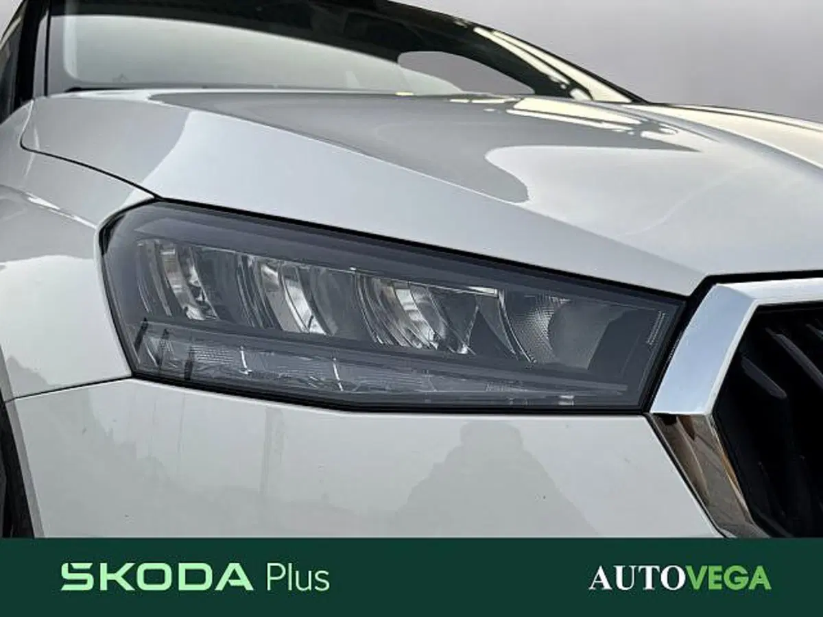 Skoda Fabia usata a Vicenza (19)