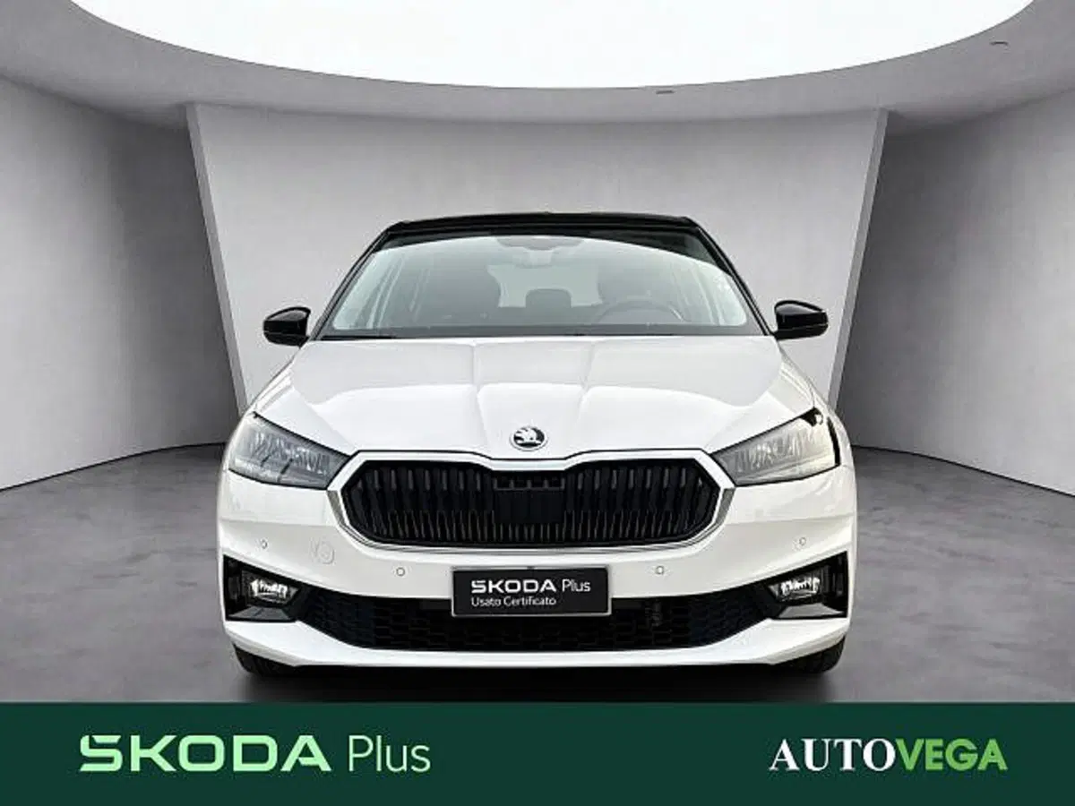 Skoda Fabia usata a Vicenza (2)