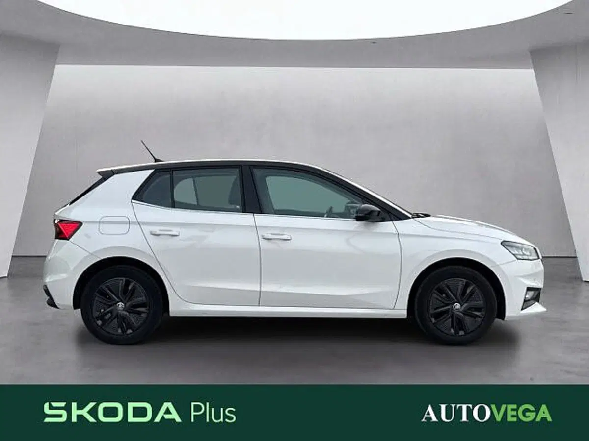 Skoda Fabia usata a Vicenza (3)