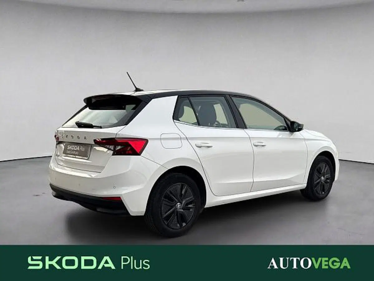 Skoda Fabia usata a Vicenza (4)