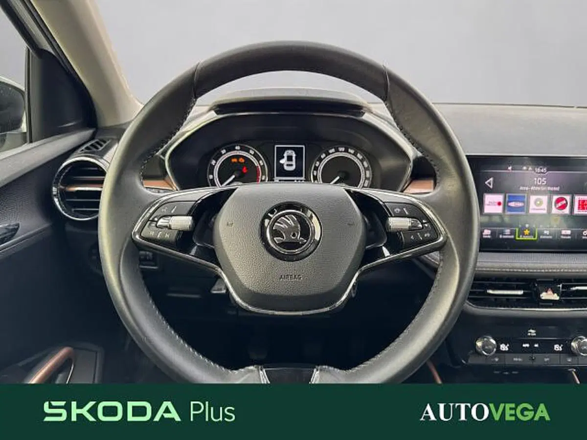 Skoda Fabia usata a Vicenza (9)