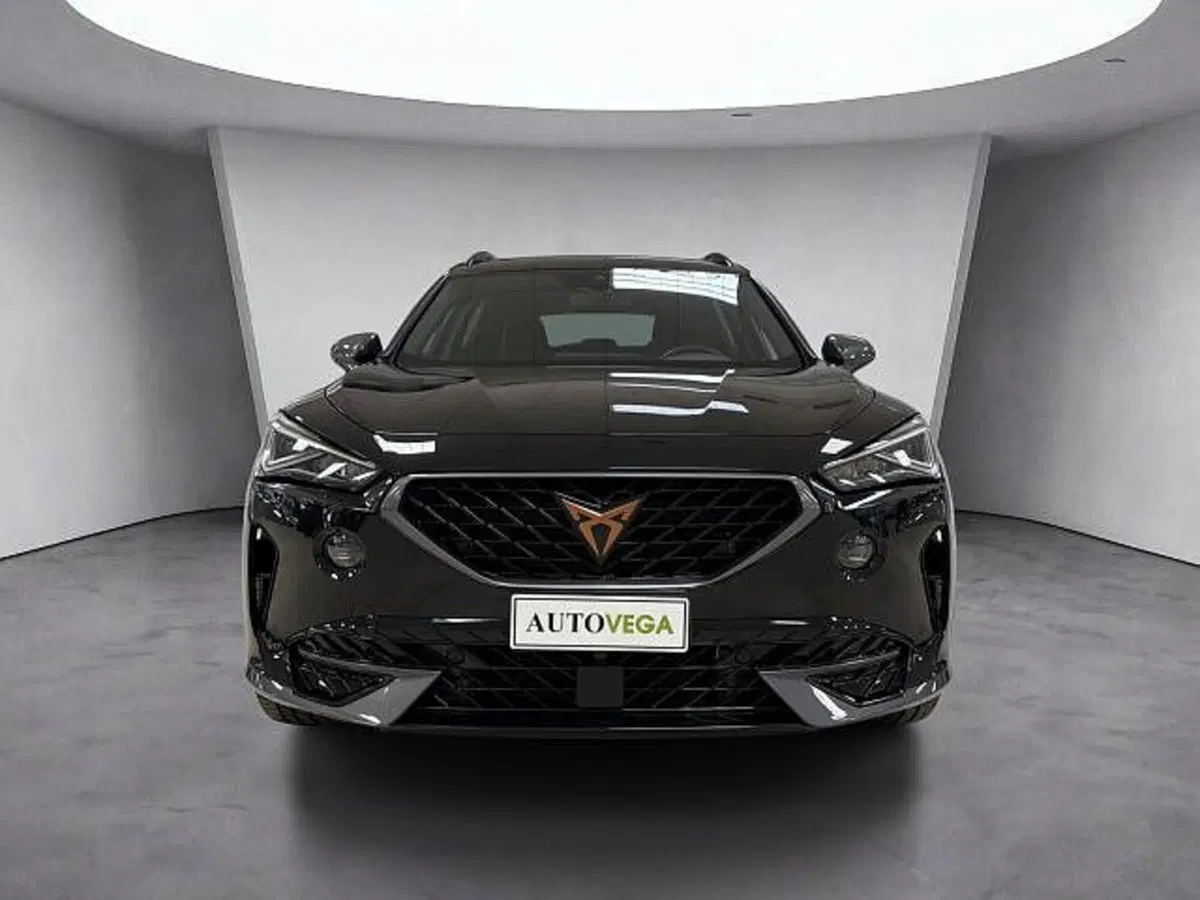 Cupra Formentor usata a Vicenza (2)