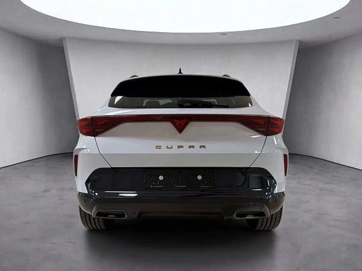 Cupra Formentor usata a Vicenza (5)