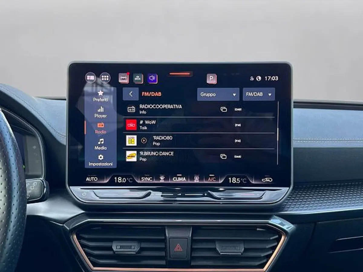 Cupra Leon usata a Vicenza (10)