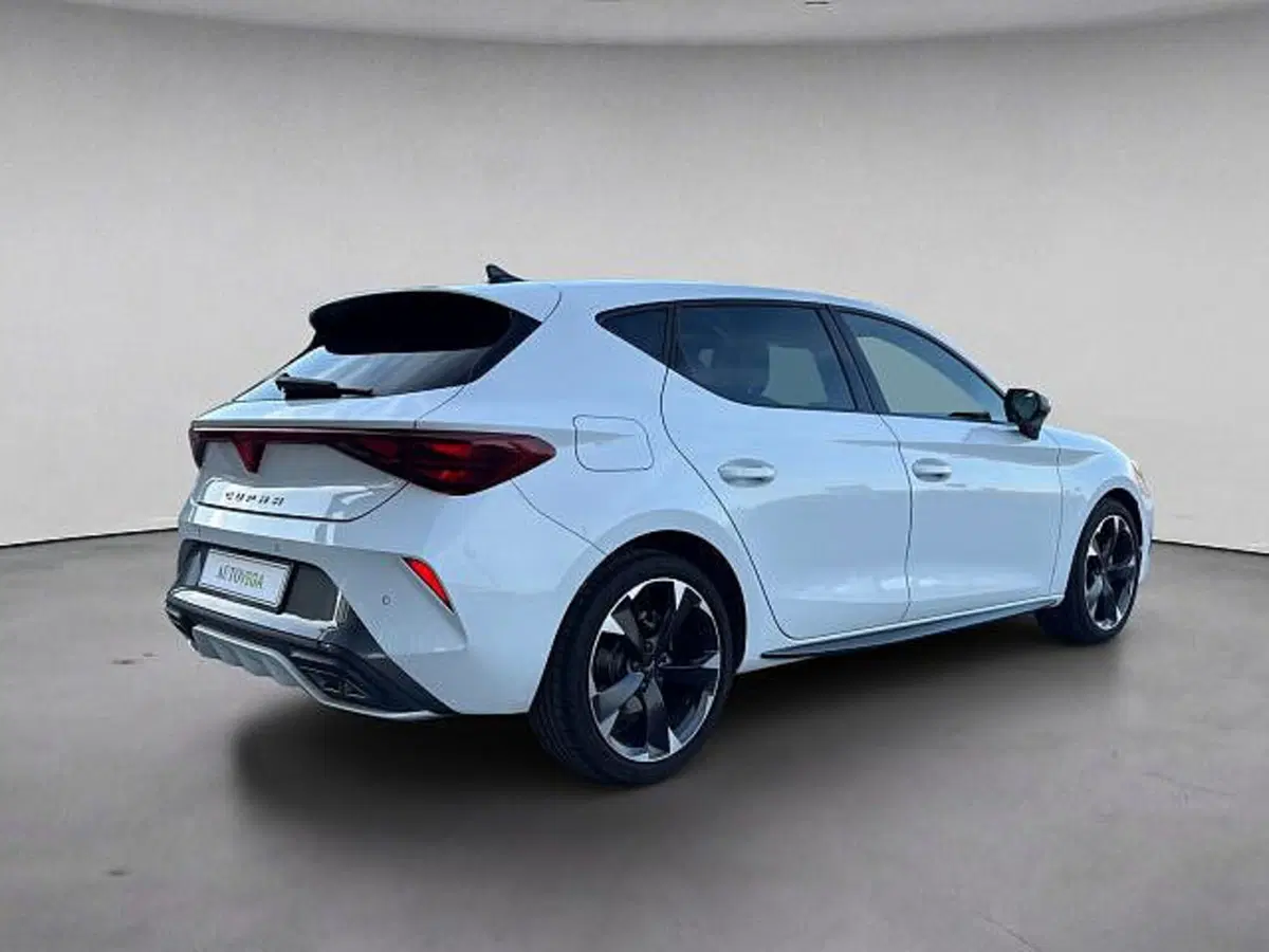 Cupra Leon usata a Vicenza (4)