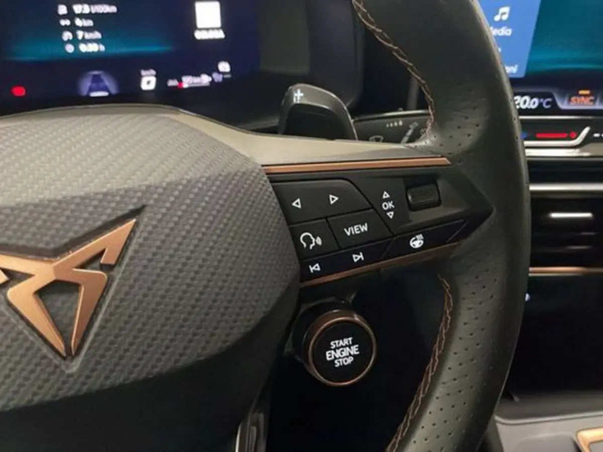 Cupra Formentor usata a Vicenza (16)