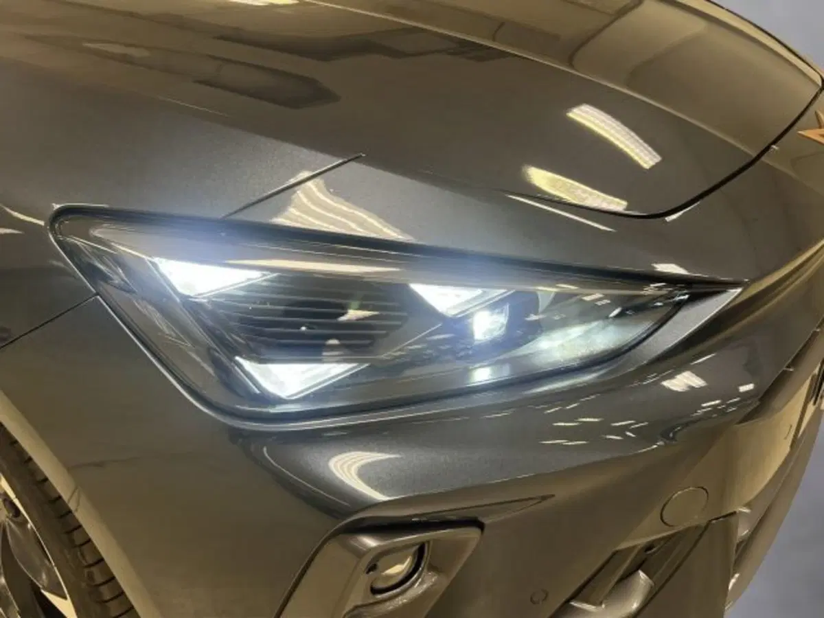 Cupra Leon usata a Vicenza (19)