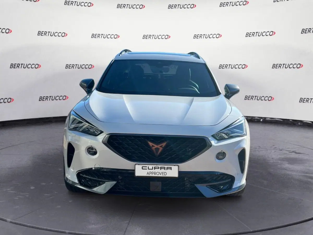 Cupra Formentor usata a Verona (2)