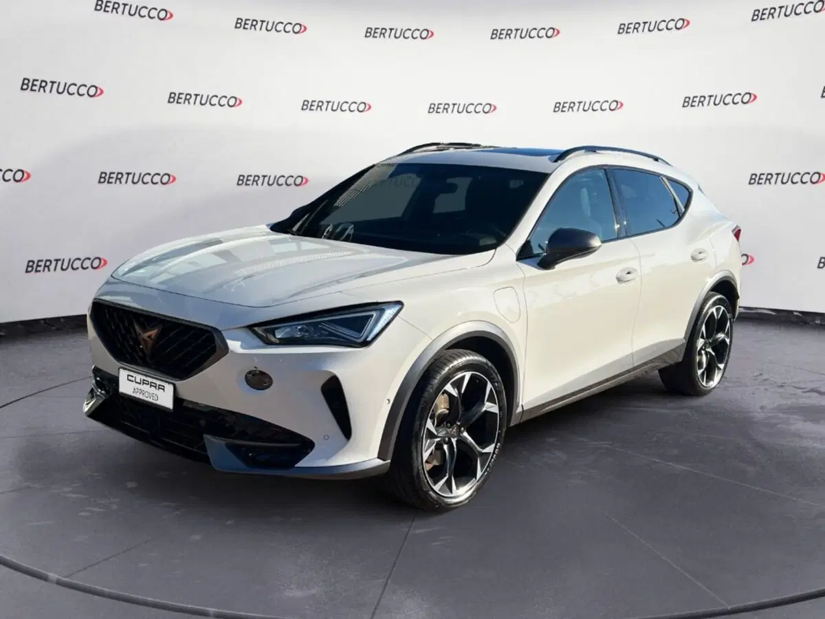 Cupra Formentor usata a Verona (3)