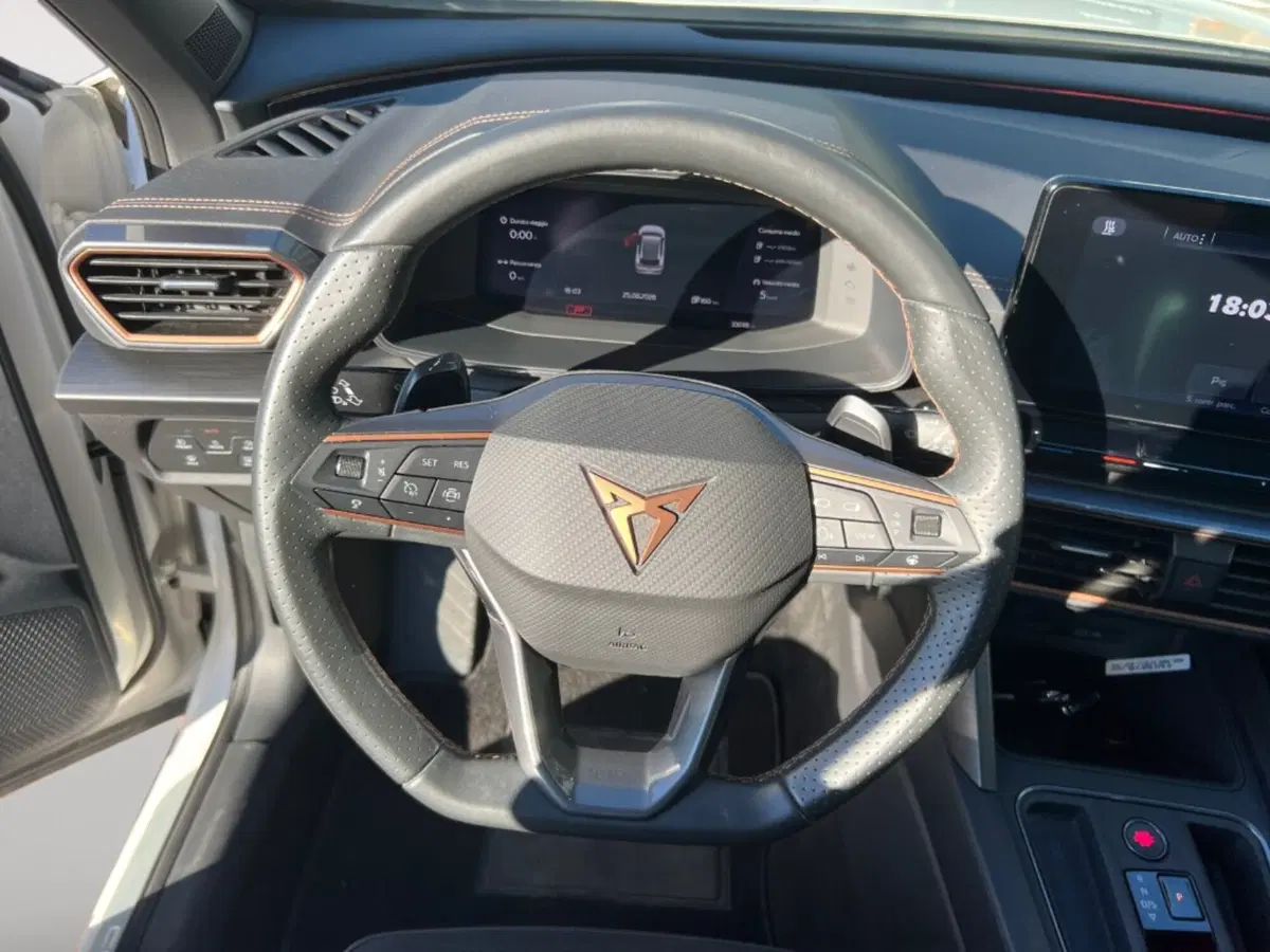 Cupra Formentor usata a Verona (9)