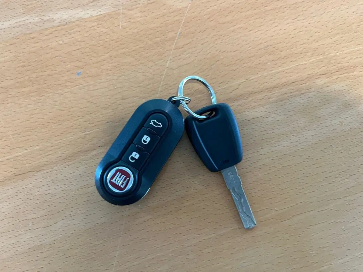 Fiat 500 usata a Sondrio (16)