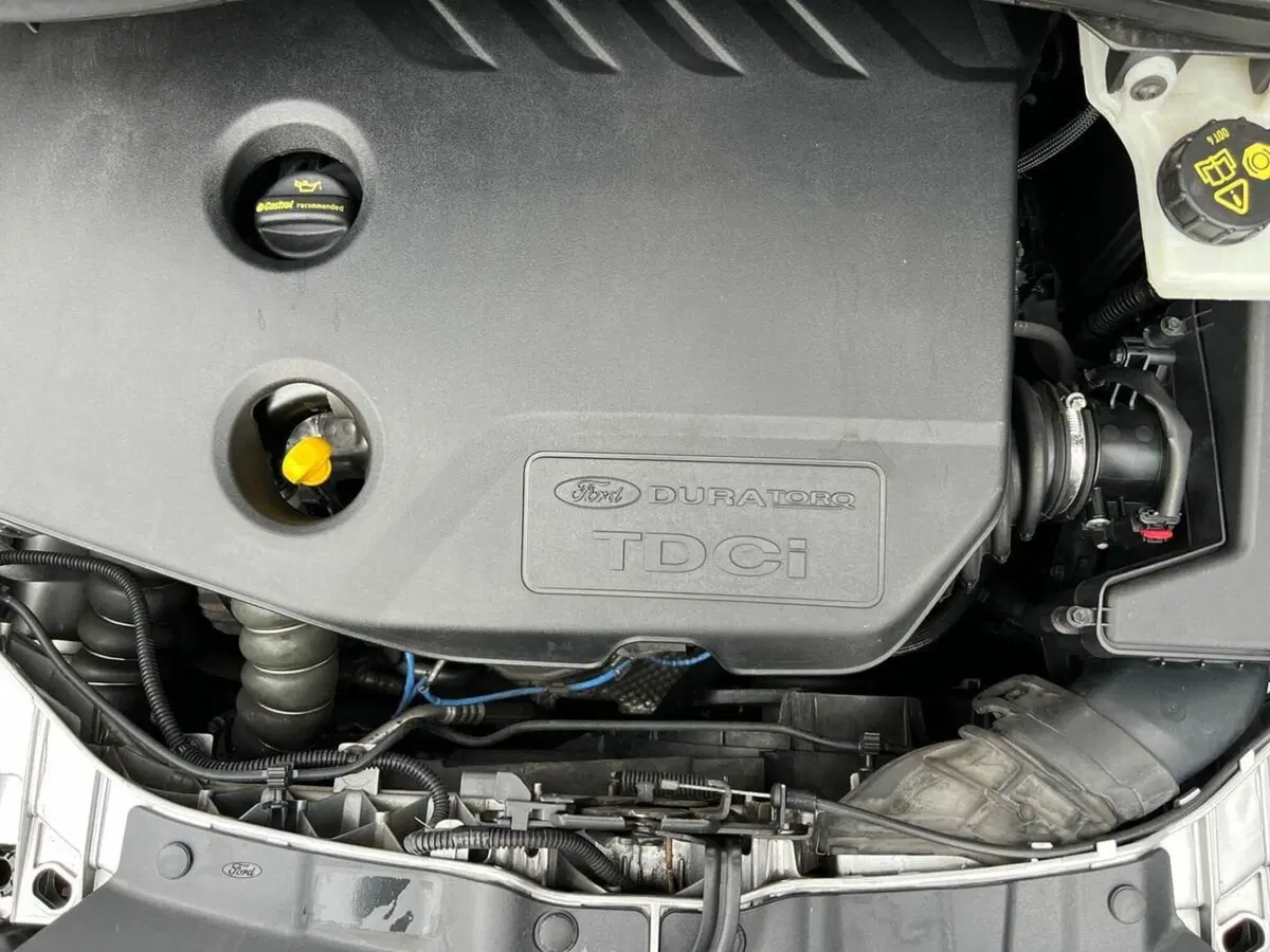 Ford C-Max usata a Sondrio (15)