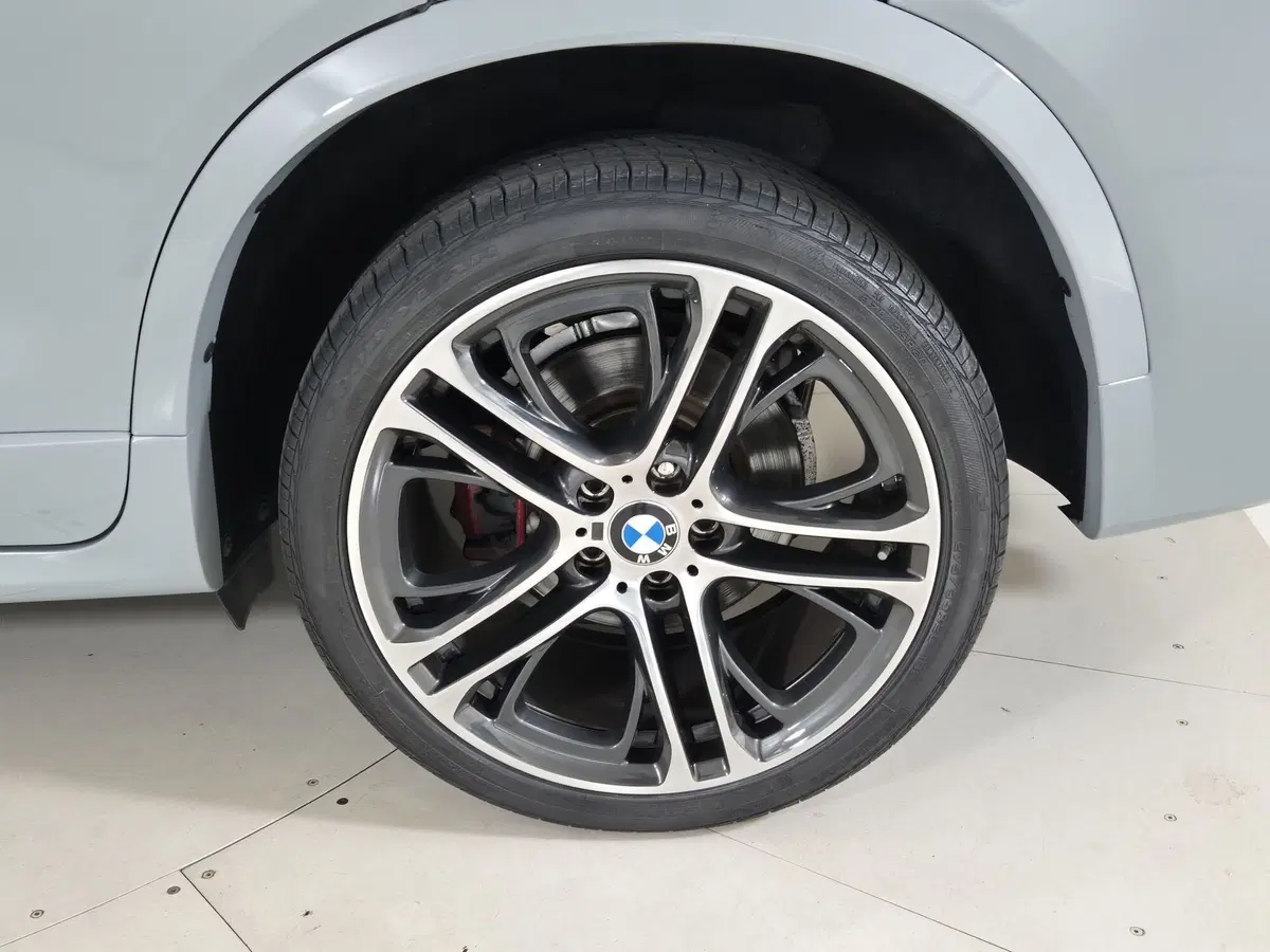 BMW X4 usata a Torino (14)