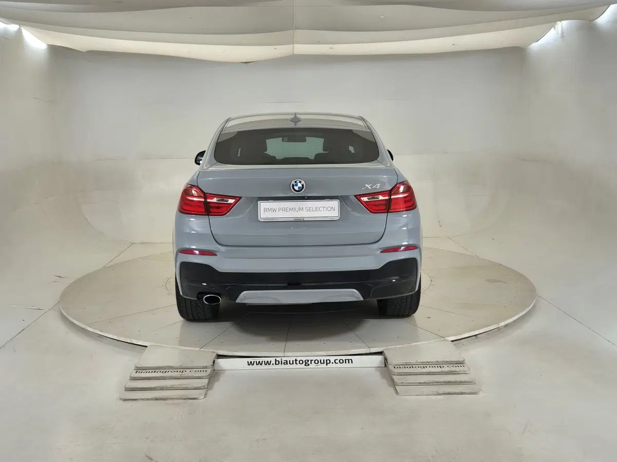 BMW X4 usata a Torino (3)