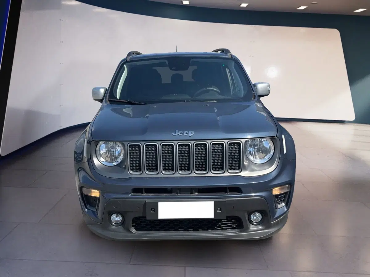 Jeep Renegade usata a Torino